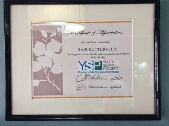 Hair Butterflies Lice and Nit Removal Salon Picture 2