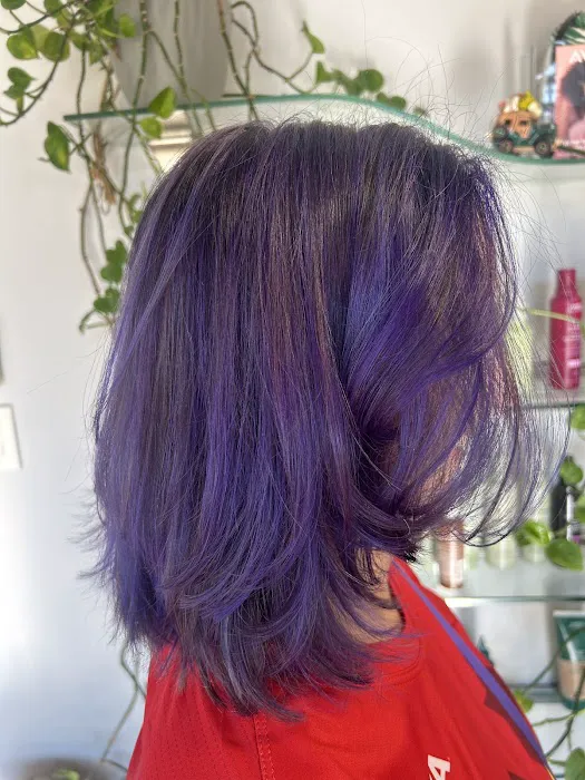 Golden Shears Hair Studio Picture 7