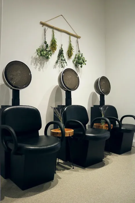 Lavender Park Hair Salon Picture 9