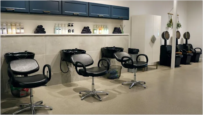 Lavender Park Hair Salon Picture 7