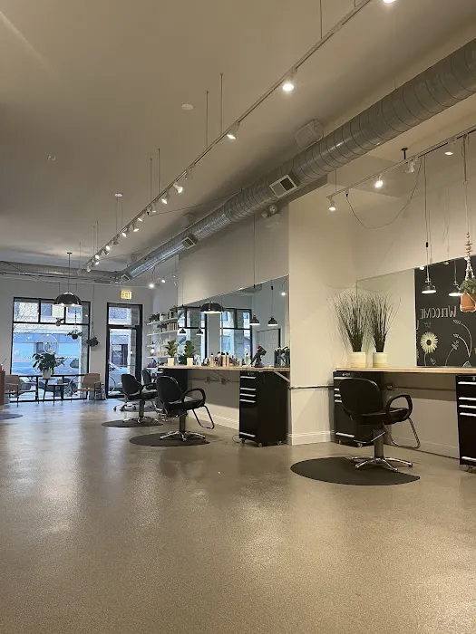 Lavender Park Hair Salon Picture 6