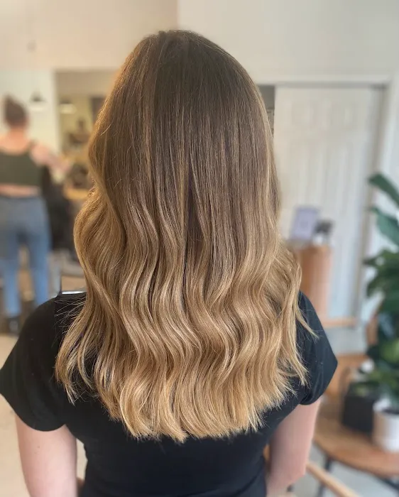 Lavender Park Hair Salon Picture 2