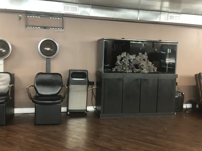 1locnation Hair Gallery Picture 5
