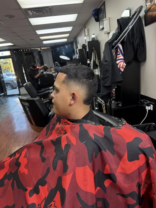 Millennium cuts Picture 2