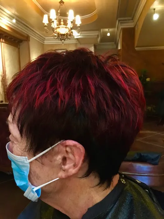 Andre Napier Salon Picture 9