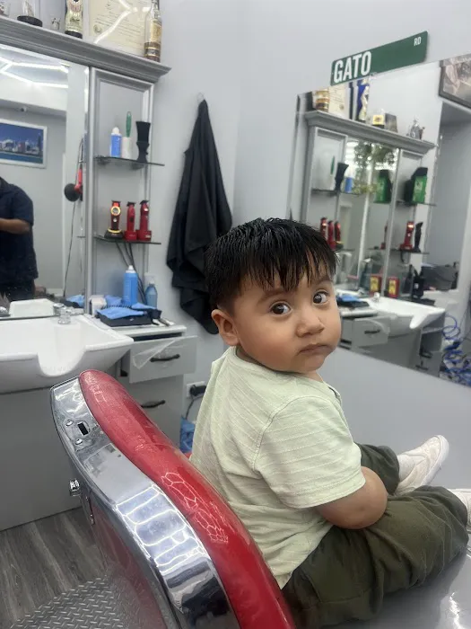 The Barber Lab Studio Picture 10