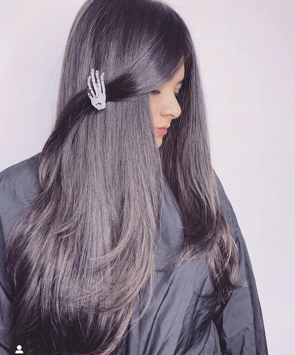 Elida Hair Beauties Picture 10