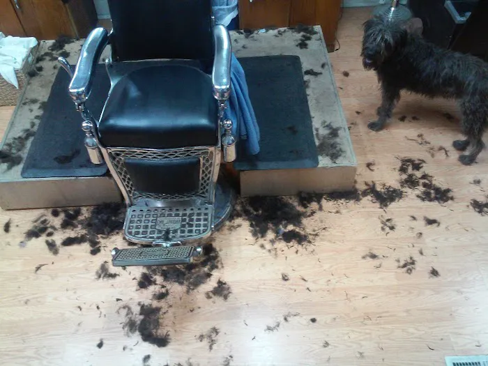Irving Park Barbershop Picture 9