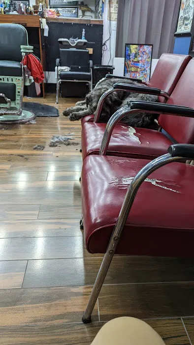 Irving Park Barbershop Picture 4
