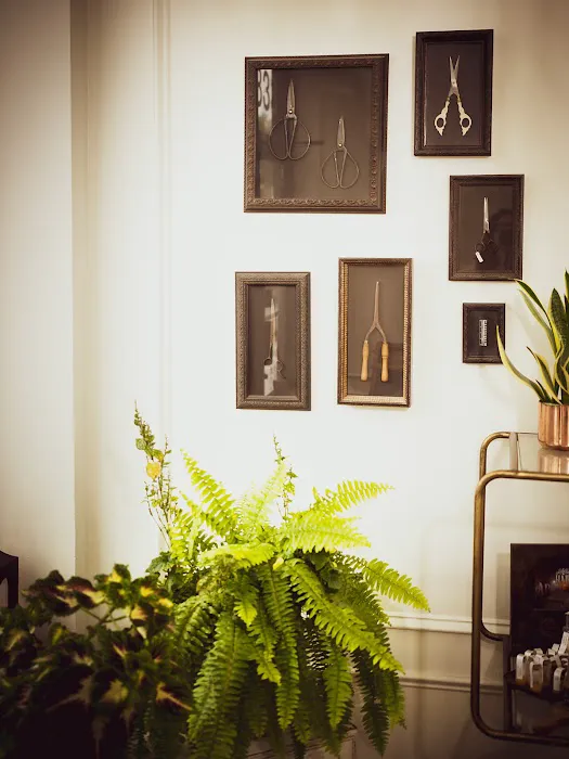 Hair Apothecary Picture 3