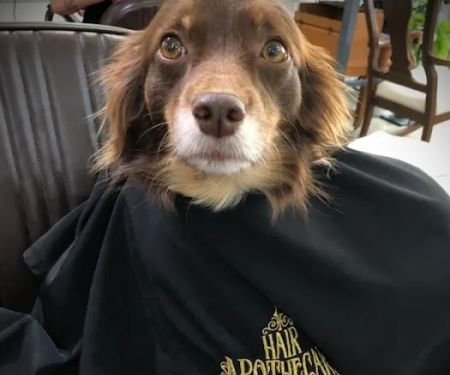 Hair Apothecary