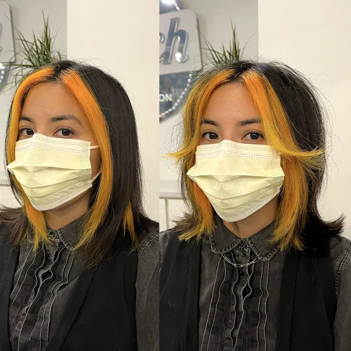 hairstudy Picture 4