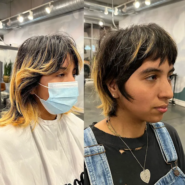 hairstudy Picture 8