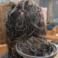 The Dirt Chicago ico