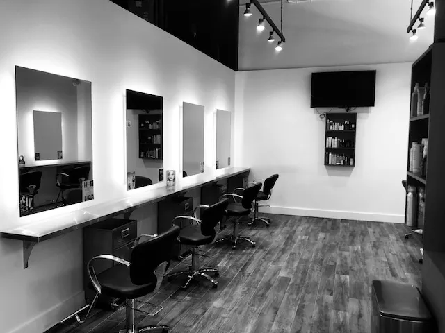 Salon Sen Picture 3
