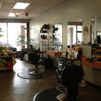 Divine Hair Design ico