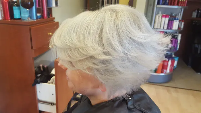 Elite Hair Changers Picture 4