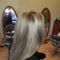 Elite Hair Changers ico