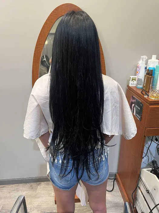Elite Hair Changers Picture 2