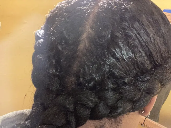 The New Star African Hair Braiding Picture 7