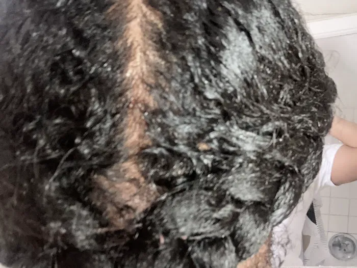 The New Star African Hair Braiding Picture 3