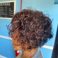 The Perfect Hair Studio- Hair By Monica ico