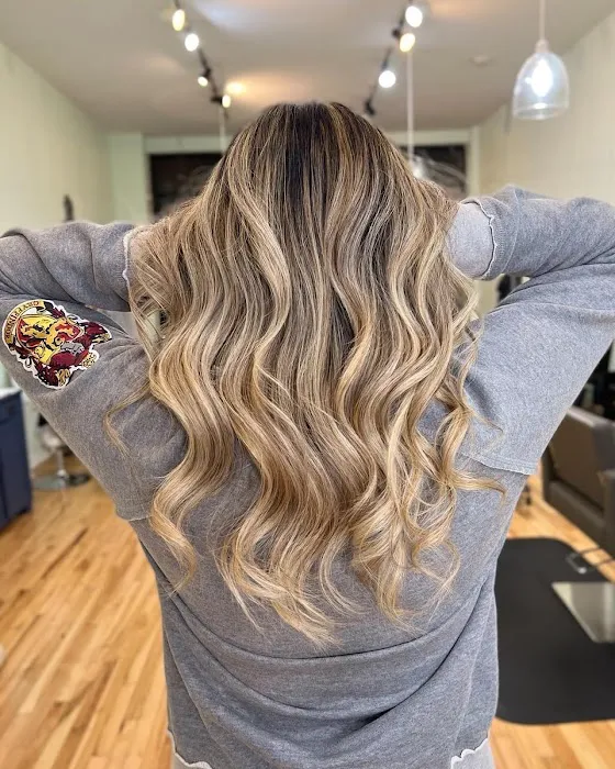 Joanna Ocasio | Chicago Hair Extensions and Color Picture 8
