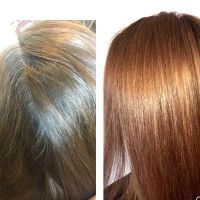 hairloution cuts and color ico