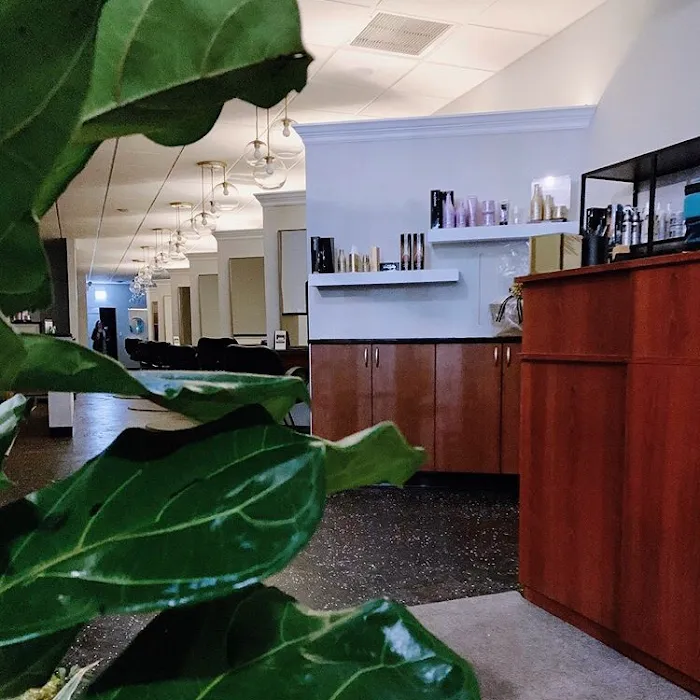 Elevate Salon Picture 6