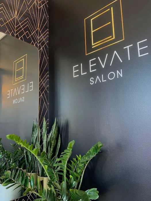 Elevate Salon Picture 10