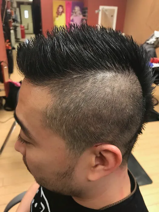 House of Hair Picture 6