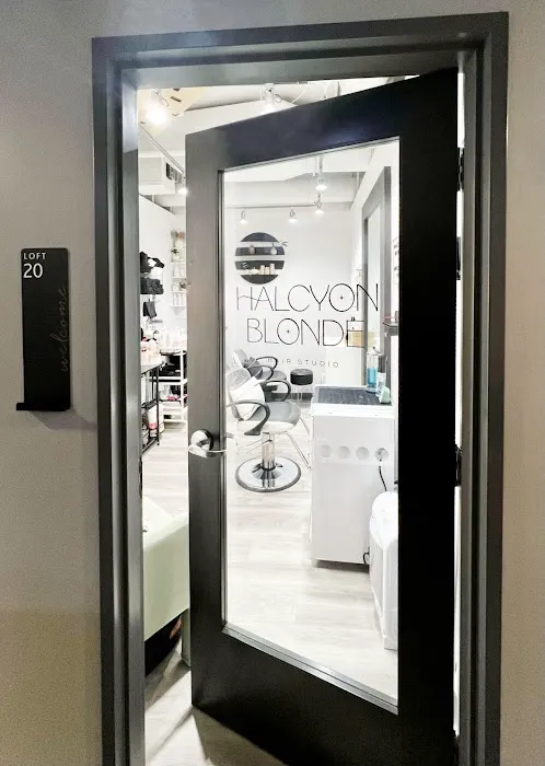 Halcyon Blonde Hair Studio Picture 10