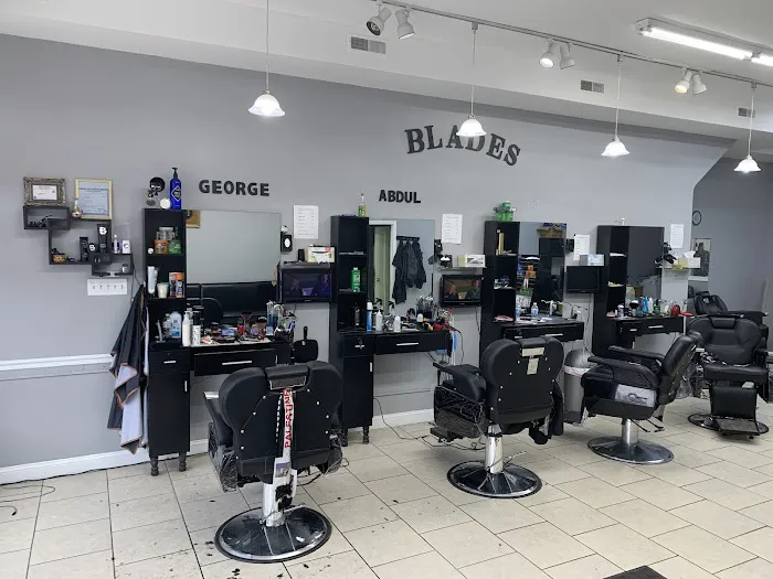 Blades Hair Design Picture 3