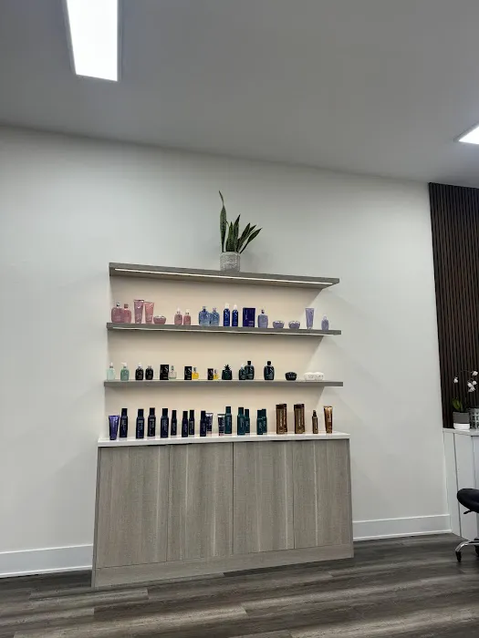 Sol Salon Chicago Picture 1