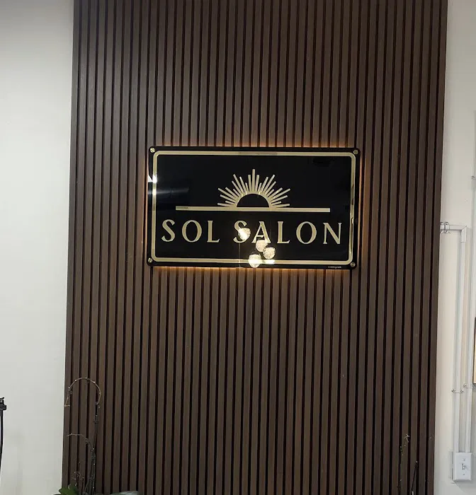 Sol Salon Chicago Picture 3