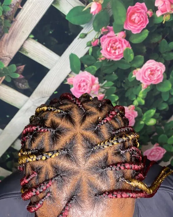 Unique braids Picture 10