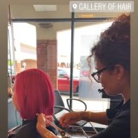 Gallery of Hair ico