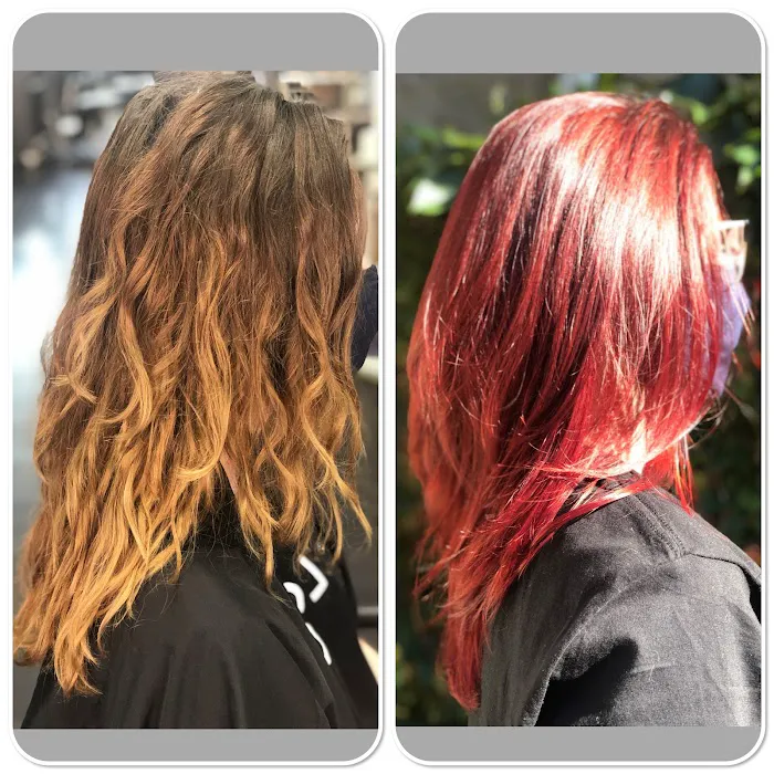 Aimee Leigh Hair Picture 10