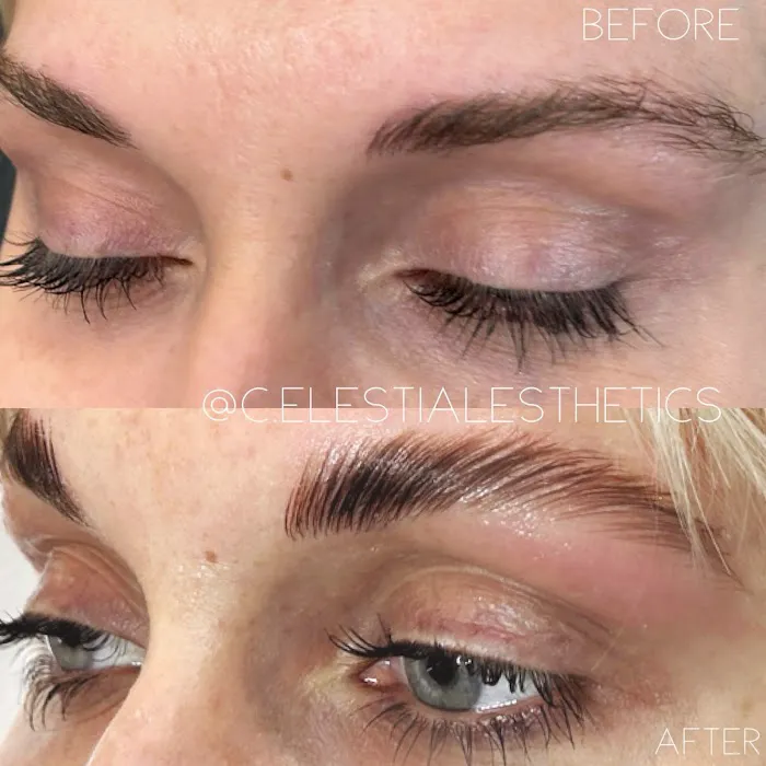 Celestial Esthetics, Chicago IL - Brows + Brazilians + Facials Picture 3