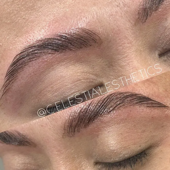 Celestial Esthetics, Chicago IL - Brows + Brazilians + Facials Picture 7