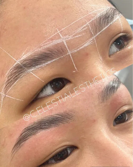 Celestial Esthetics, Chicago IL - Brows + Brazilians + Facials Picture 1