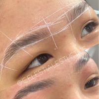 Celestial Esthetics, Chicago IL - Brows + Brazilians + Facials ico