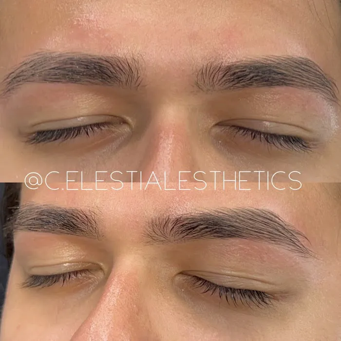 Celestial Esthetics, Chicago IL - Brows + Brazilians + Facials Picture 10