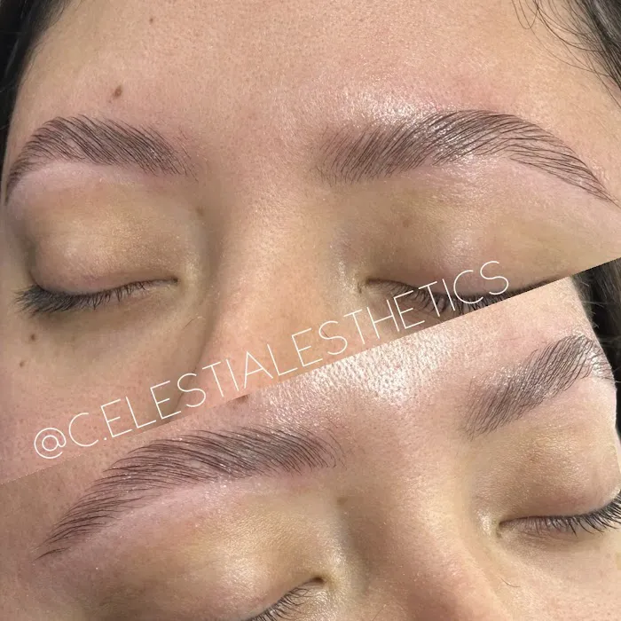 Celestial Esthetics, Chicago IL - Brows + Brazilians + Facials Picture 9