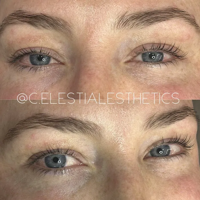Celestial Esthetics, Chicago IL - Brows + Brazilians + Facials Picture 4