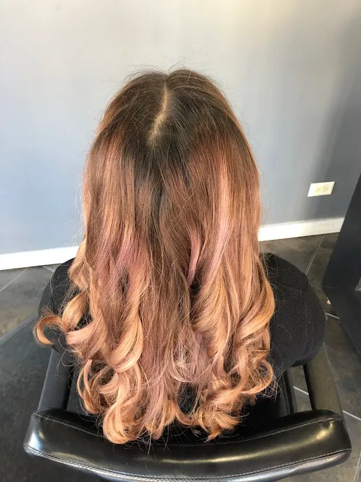 Wild Roots Hair Studio Picture 1