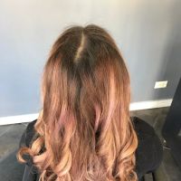 Wild Roots Hair Studio ico