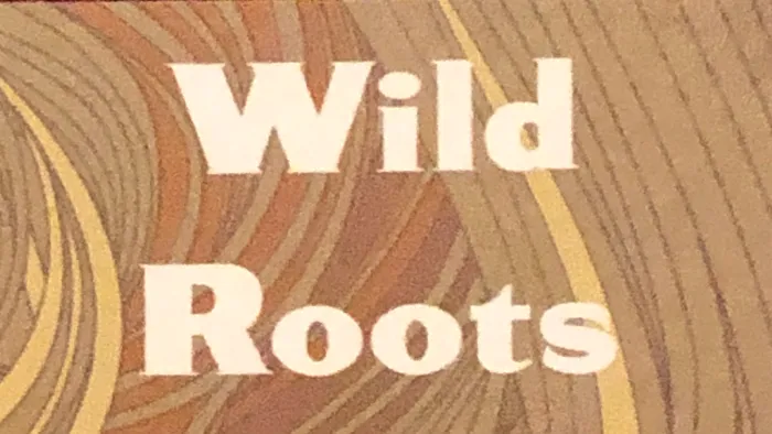 Wild Roots Hair Studio Picture 9