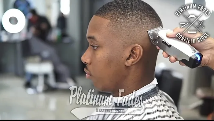 Platinum Fades (Garfield Ridge) Picture 5