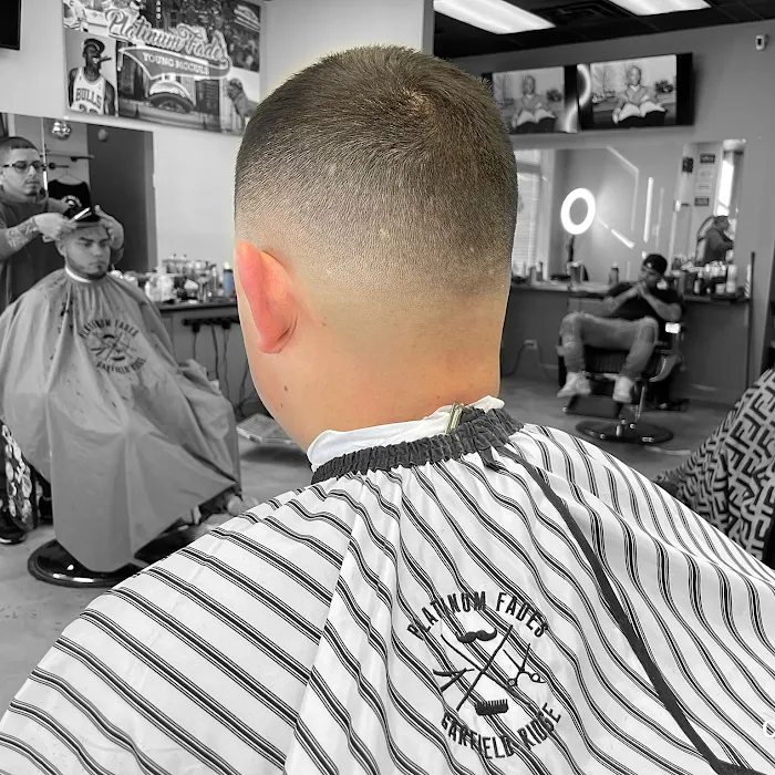 Platinum Fades (Garfield Ridge) Picture 8